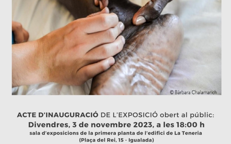 Cartell_Exposicio_fotografica_cooperacio_en_salut_a_Gambia_La_Teneria_2