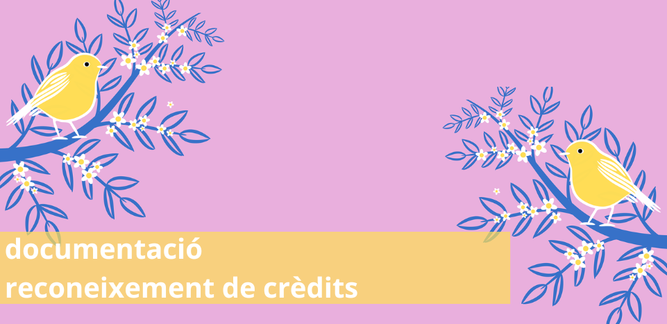 imatge documentació reconeixements FIF CAT