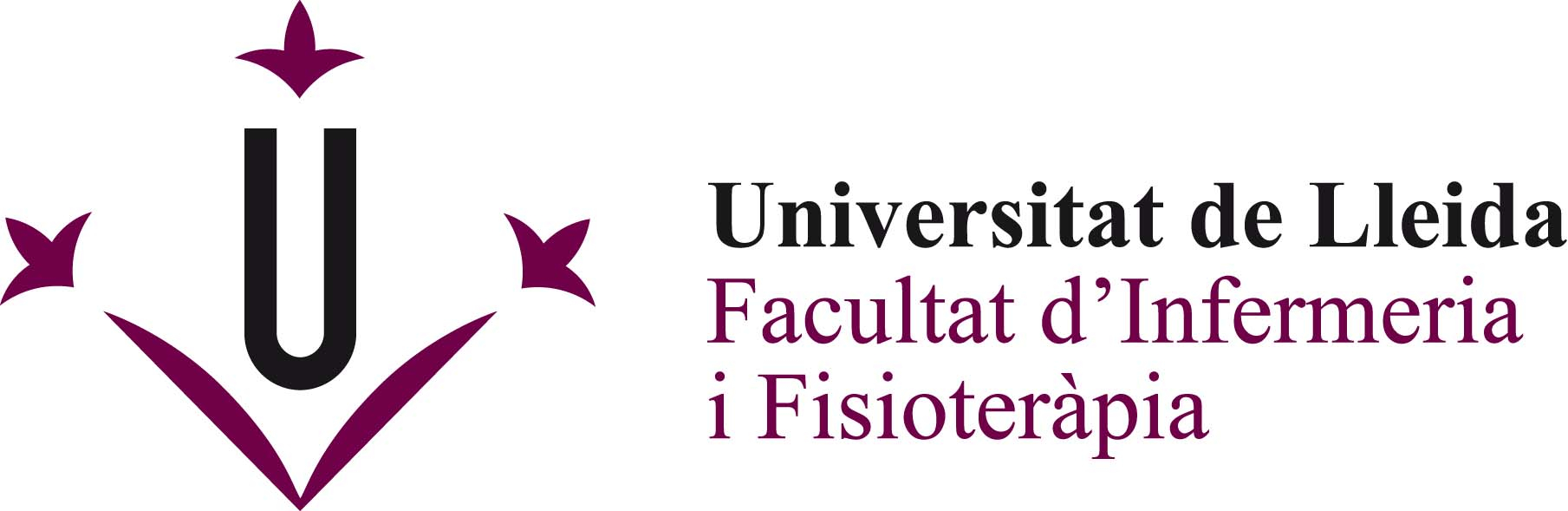logo FIF UdL