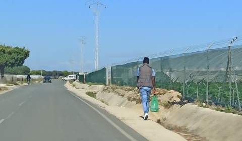 recerca_Ericabriones_v2