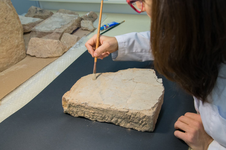 lab.jpg_513066471