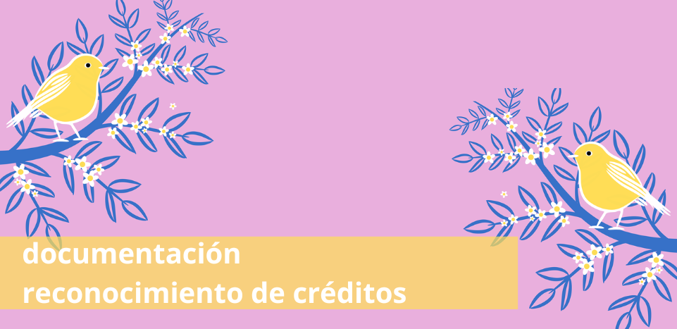 imagen documentación reconocimientos FIF CAST